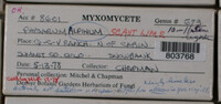 Image Associated With the Occurence
